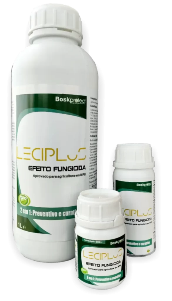 Leciplus_todos-3